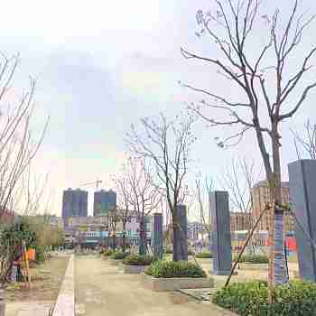 广场/小区绿化