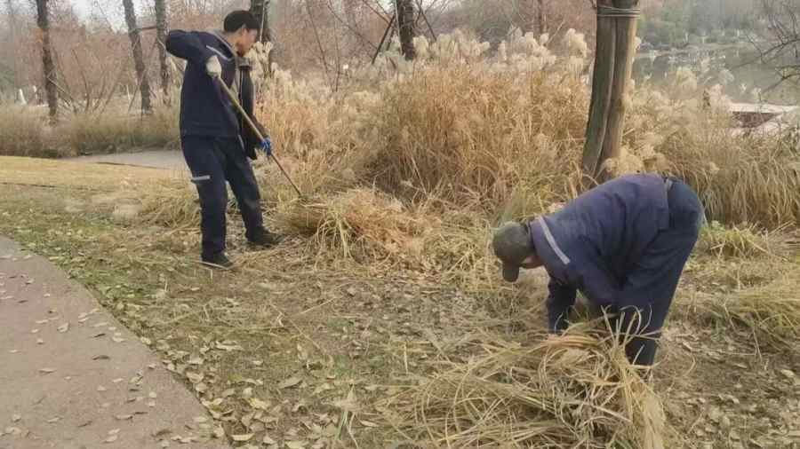 昆山工厂绿地养护