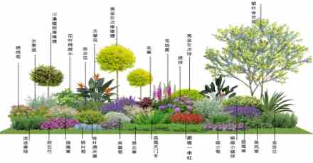 昆山花镜营造指南：设计与实践要点