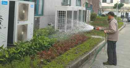 昆山绿化养护：实战案例揭示针对绿化养护技巧