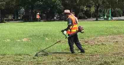 昆山绿化养护须知：与气候土壤的“和谐共处”