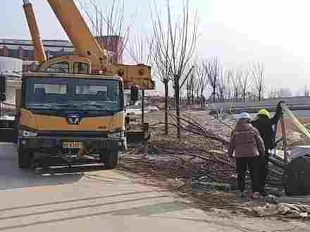 昆山绿化公司的专业园林绿化工程施工流程