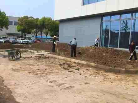 昆山堆坡造型施工指南：要点全解析