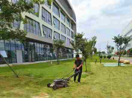 昆山绿化养护公司：绿化养护方案与计划全解