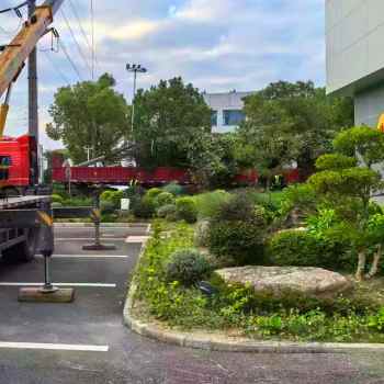 绿化改造工程/绿化翻新改造