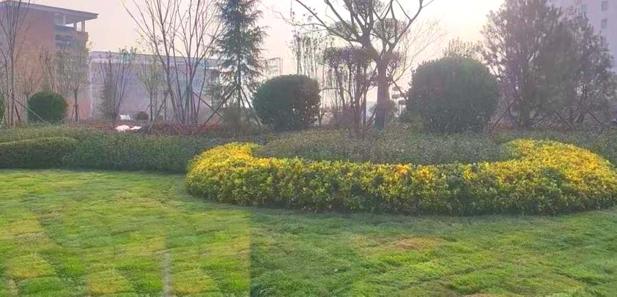 昆山园林绿化工程