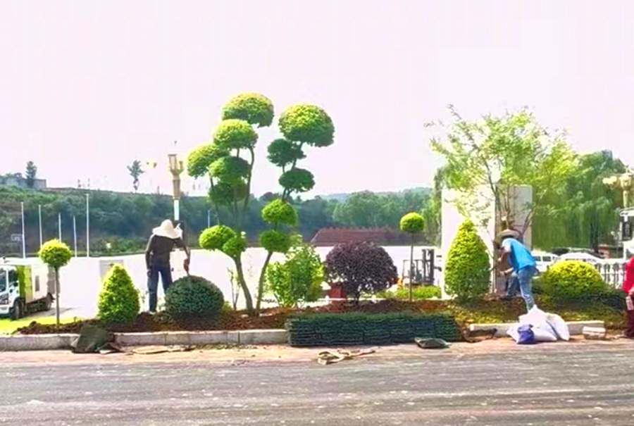 昆山花境设计