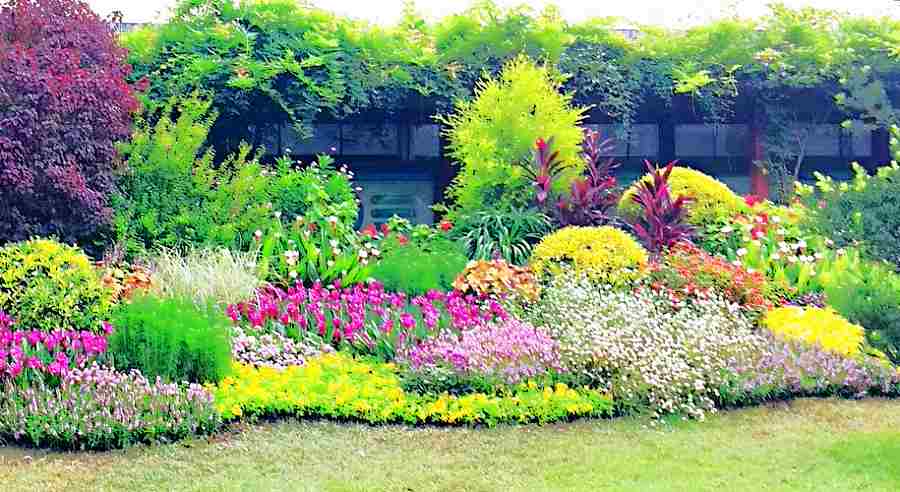 昆山花镜绿化